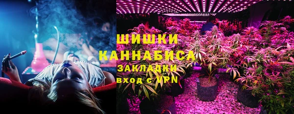 молекула духа Балахна